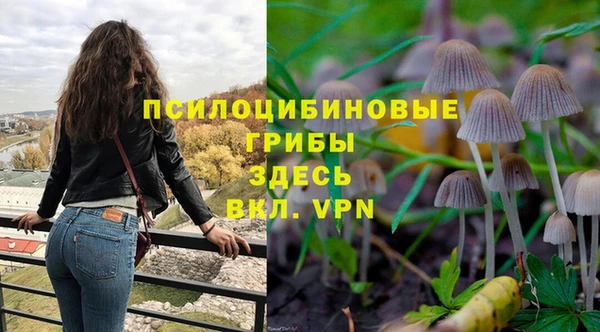 героин Белокуриха