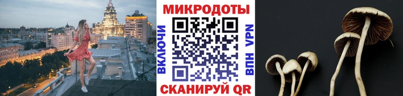 Галлюциногенные грибы Psilocybe  Дигора 